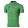 Wielershirt 2016 Ronde van Frankrijk N001